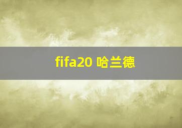 fifa20 哈兰德